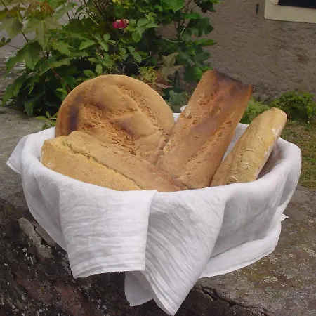 Σπίτι διακοπών Spacieux Avec Grande Terrasse, Proche De Gerardmer - Ideal Familles Et Groupes - Fr-1-589-420