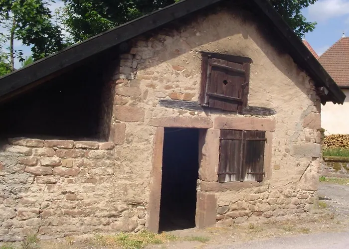 Spacieux Avec Grande Terrasse, Proche De Gerardmer - Ideal Familles Et Groupes - Fr-1-589-420 度假居 *